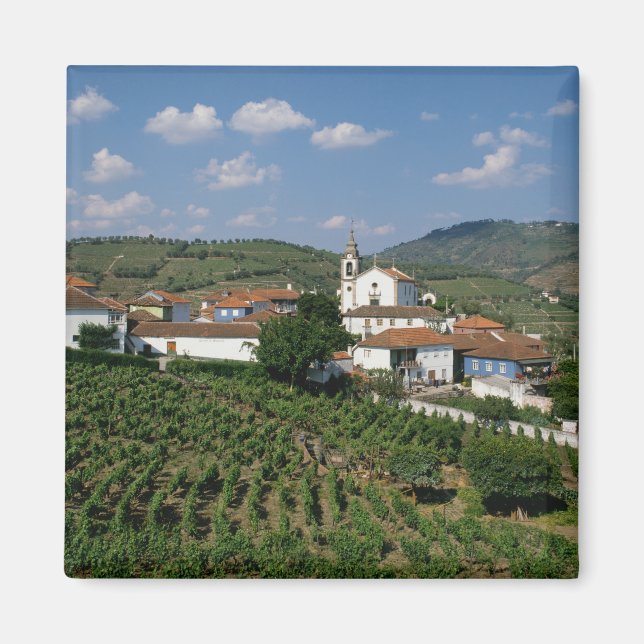 Weinberge, Dorf San Miguel, Douro Magnet (Vorne)