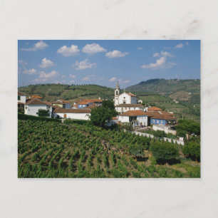 Weinberge, Dorf San Miguel, Douro Postkarte