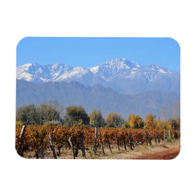 Weinberge im Fall von Mendoza, Argentinien Magnet (Horizontal)