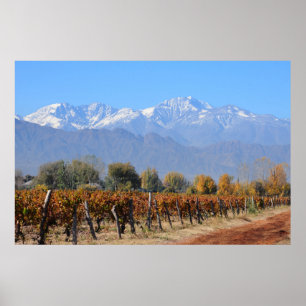 Weinberge im Fall von Mendoza, Argentinien Poster