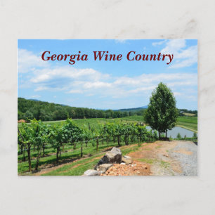 Weinberge in Georgien, USA Postkarte