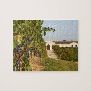 Weinberge, kleine verdot Reben und die Puzzle