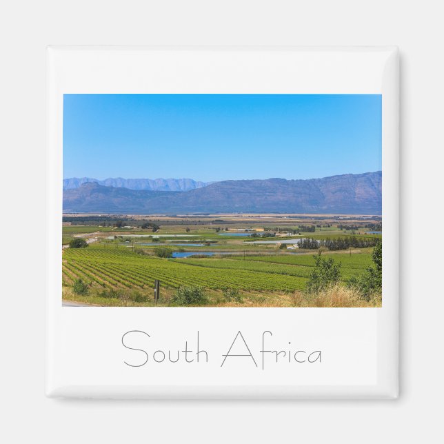 Weinberge Landschaft Südafrika SA Magnet (Vorne)