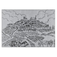 Weinberge| Loire Valley, Frankreich