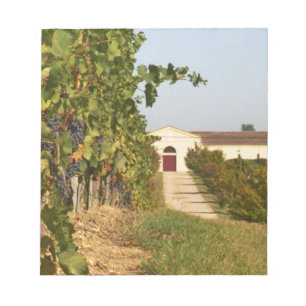 Weinberge, Petit Verdot-Reben und das Weingut in Notizblock