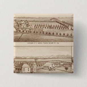 Weinberge, Ranches, Tulare Co, Kalifornien Button