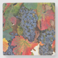 Weinberge Untersetzer