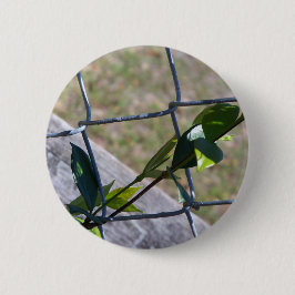 Weine auf einem Kettenzaun finden Leben einen Weg Button