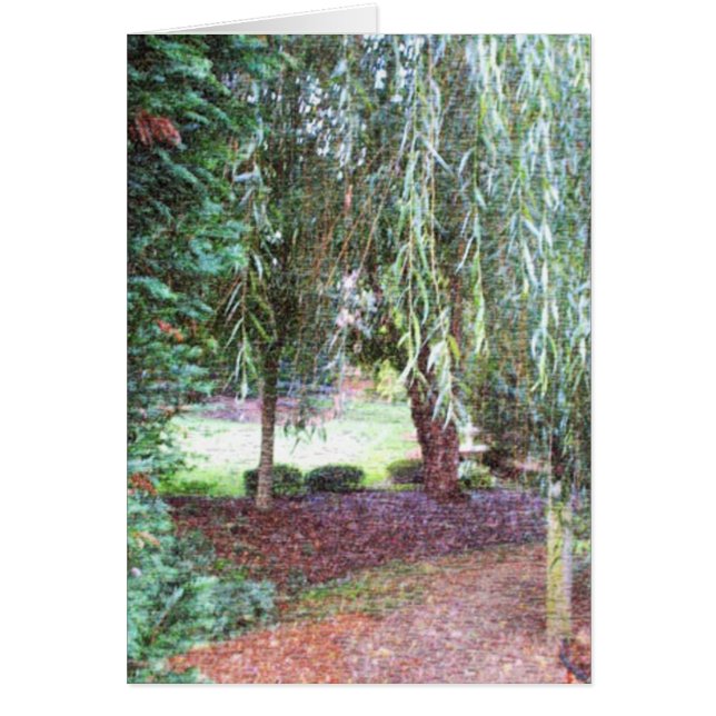 Weinende Weide (Vorne)