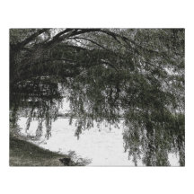 Weinende Weide auf dem Wasser