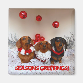 Weiner Dog Christmas, "Frohe Festtage!" Magnet