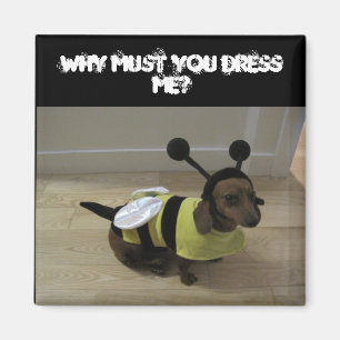 Weiner Hundehalloween-Magnet Magnet