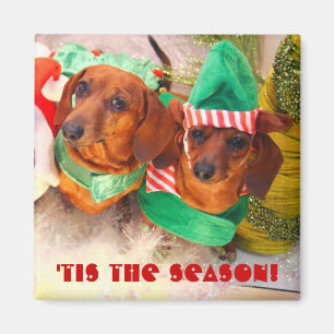 Weiner Hundeweihnachtself Magnet