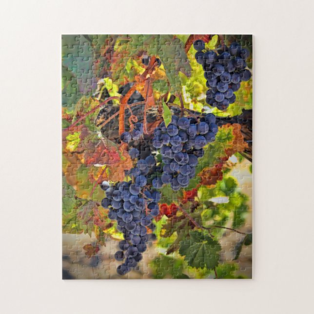 Weinernte Trauben Herbstfarben Jigsaw Puzzle (Vertikal)