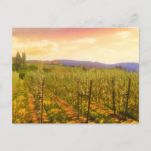 Weingarten bei Dawn Kelowna British Columbia Kanad Postkarte