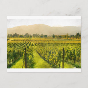 Weingarten im Herbst im Napa Valley Kalifornien Postkarte