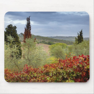 Weingarten in der Nähe von Montalcino, Toskana, It Mousepad