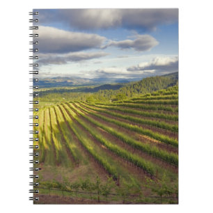 Weingarten. Napa Valley. Napa. Napa County, Notizblock