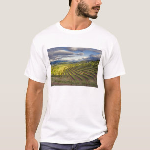 Weingarten. Napa Valley. Napa. Napa County, T-Shirt