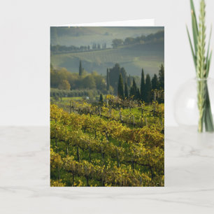 Weingarten, Toskana, Italien Karte