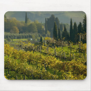Weingarten, Toskana, Italien Mousepad