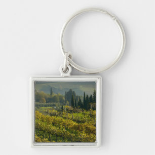 Weingarten, Toskana, Italien Schlüsselanhänger