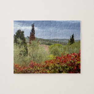 Weingut bei Montalcino, Toskana, Italien Puzzle
