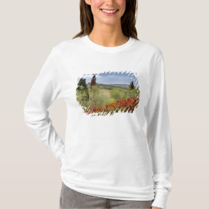 Weingut bei Montalcino, Toskana, Italien T-Shirt