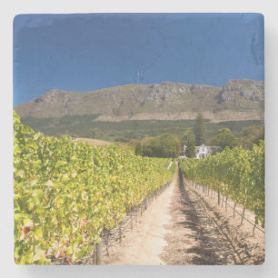 Weingut, Kapstadt, Westkap, Südafrika 2 Steinuntersetzer