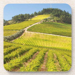 Weingut, Stellenbosch, Westkap Getränkeuntersetzer