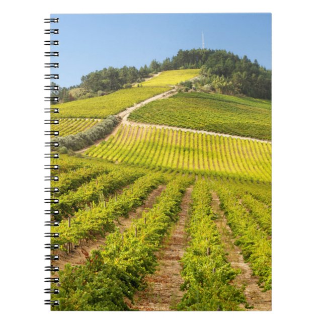 Weingut, Stellenbosch, Westkap Notizblock (Vorderseite)