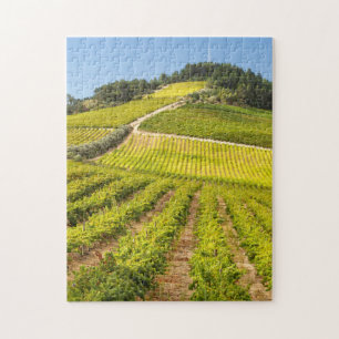 Weingut, Stellenbosch, Westkap Puzzle
