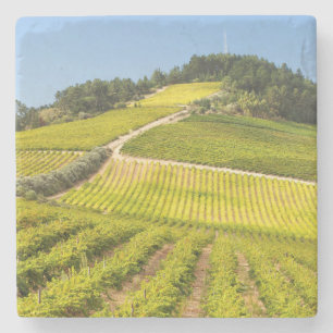Weingut, Stellenbosch, Westkap Steinuntersetzer
