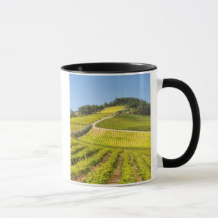 Weingut, Stellenbosch, Westkap Tasse