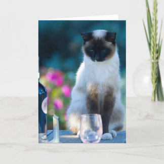 Weinkatze Karte