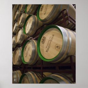 Weinkeller des Bodega Marques de Riscal Poster