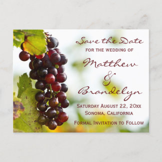 Weinkeller und Weintrauben Save the Date Postkarte