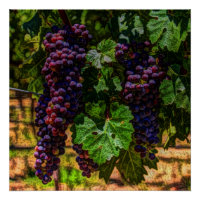 Weinkeller Weinkeller und Weine Weinroute Weinkell