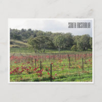 Weinkellerei Südaustralia