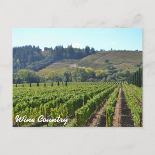 Weinkultur und Erde Postkarte