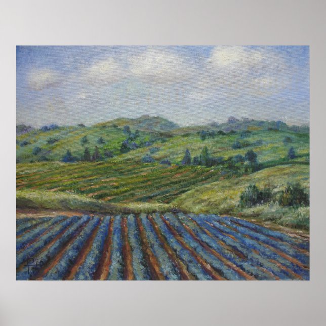 Weinland Poster (Vorne)