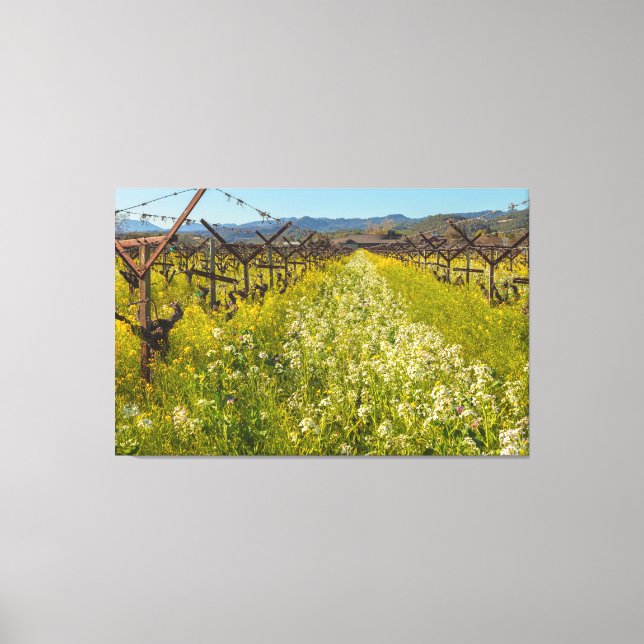 Weinlandfrühling Leinwanddruck (Vorderseite)