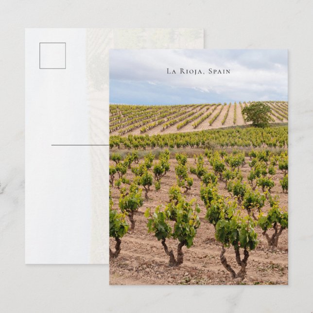 Weinlandschaft La Rioja, Spanien Postkarte (Vorne/Hinten)
