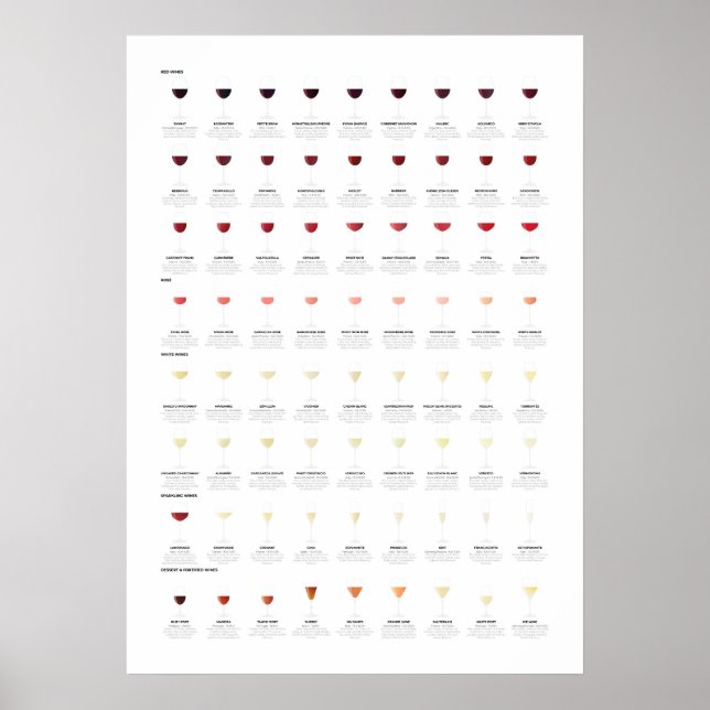 Weinleitungsplan Poster (Vorne)