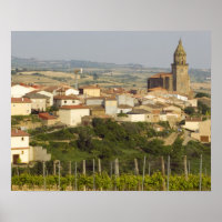 Weinreben im Vordergrund