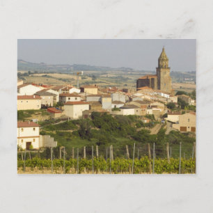 Weinreben im Vordergrund Postkarte