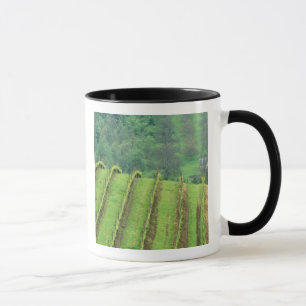 Weinreben in der Nähe von Newberg Oregon Tasse