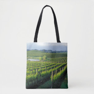 Weinreben in ordentlichen Reihen im kalifornischen