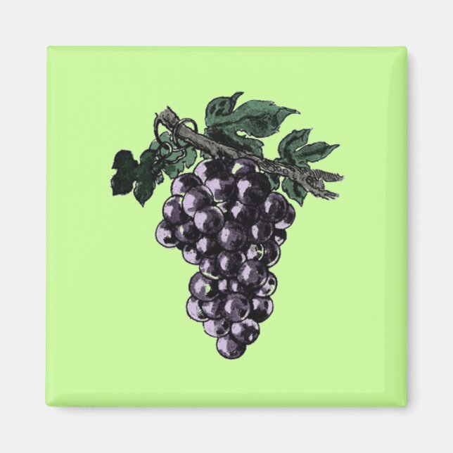 Weinreben Magnet (Vorne)