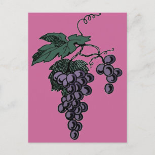 Weinreben Postkarte